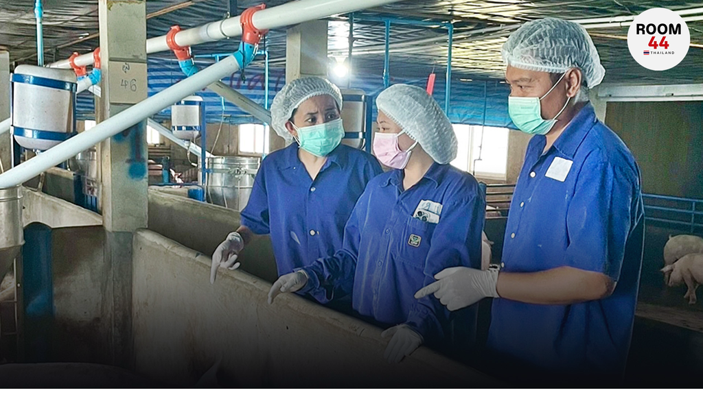 กลับบ้าน...มาสร้างความมั่นคง “ศิริรัตน์ ยั่งยืน” เลี้ยงหมูด้วยหัวใจ  