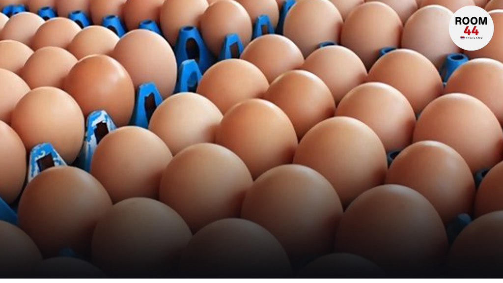 ไขปัจจัย​ "ไข่ไทย" ถูกกว่าบะหมี่กึ่งสำเร็จรูป